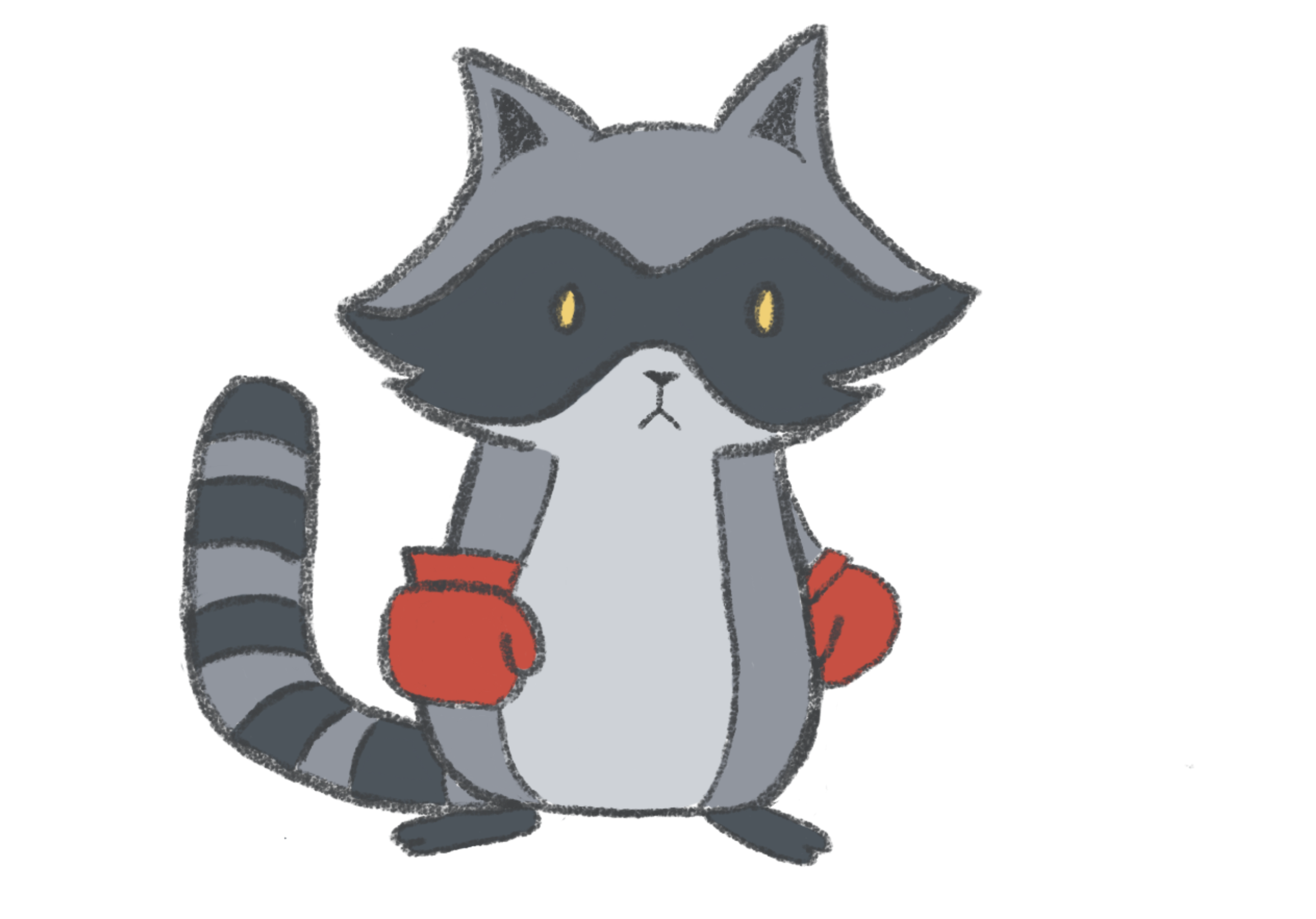 boxer-raccoon
